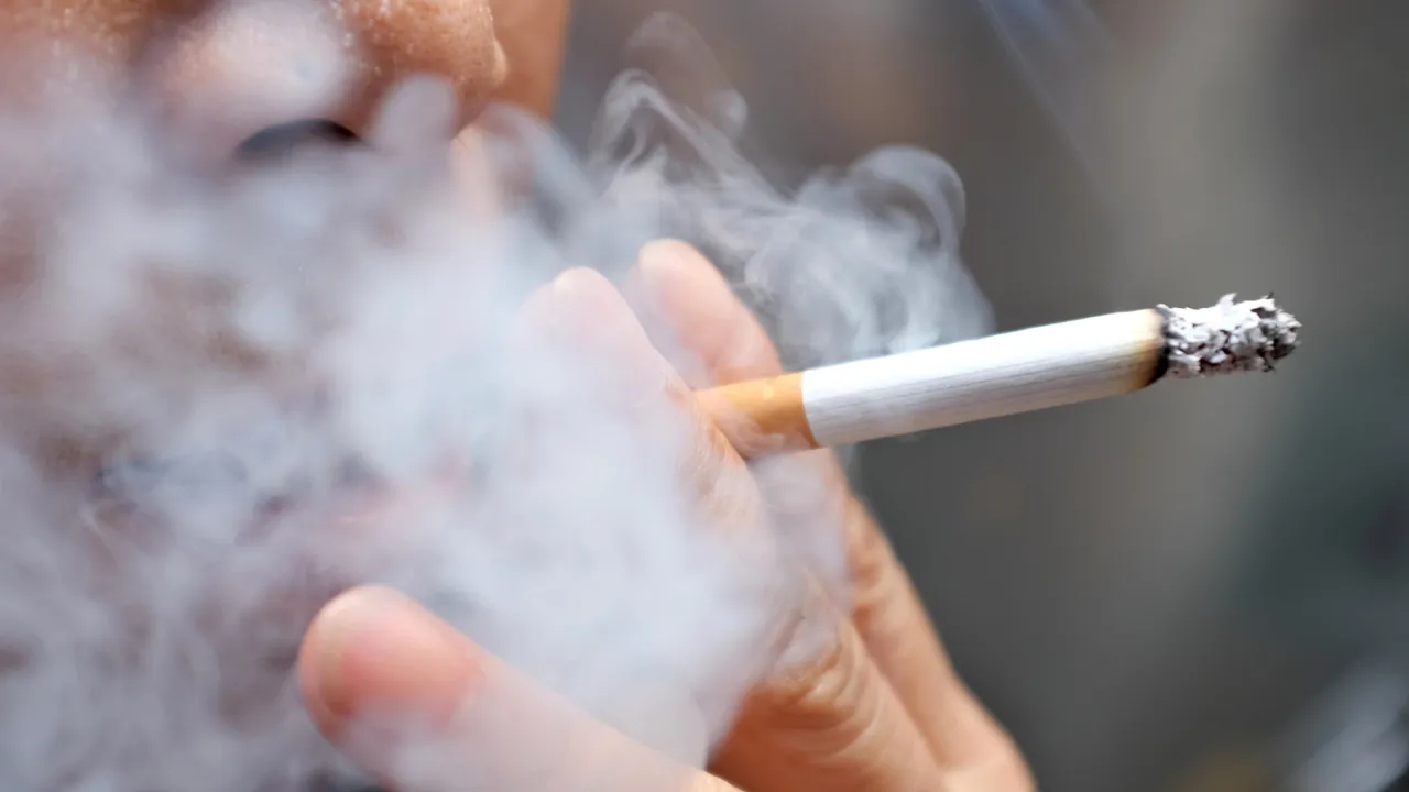 Tobacco: Cultural Traditions and Social Significance